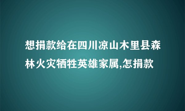 想捐款给在四川凉山木里县森林火灾牺牲英雄家属,怎捐款