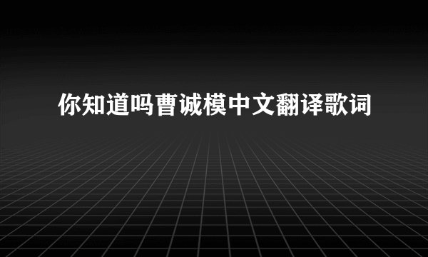 你知道吗曹诚模中文翻译歌词