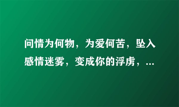 问情为何物，为爱何苦，坠入感情迷雾，变成你的浮虏，今生为你我只为你，风风雨雨都不在乎，歌名叫什么呢