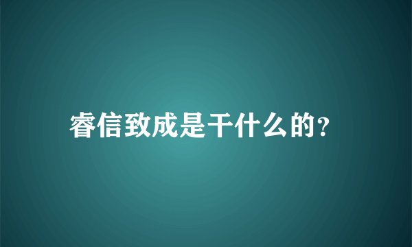 睿信致成是干什么的？