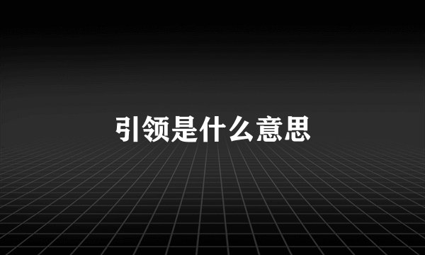 引领是什么意思