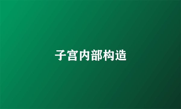 子宫内部构造