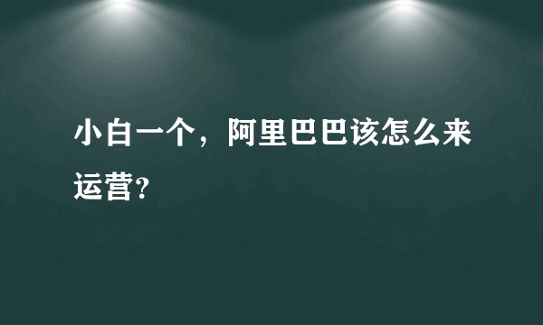 小白一个，阿里巴巴该怎么来运营？