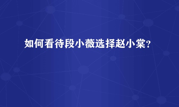 如何看待段小薇选择赵小棠？