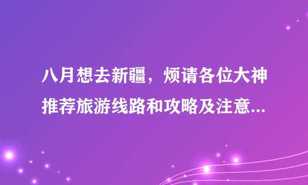 八月想去新疆，烦请各位大神推荐旅游线路和攻略及注意事项。在此拜谢！（6人行，飞机后包车，15天左右）？