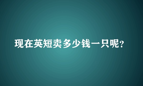 现在英短卖多少钱一只呢？
