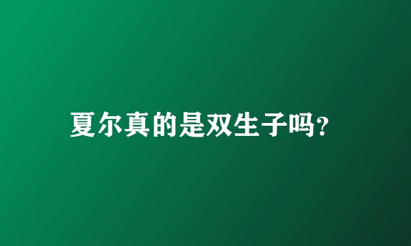 夏尔真的是双生子吗？