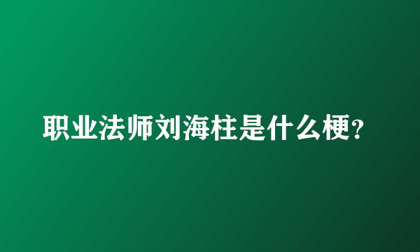 职业法师刘海柱是什么梗？