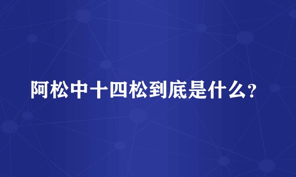 阿松中十四松到底是什么？