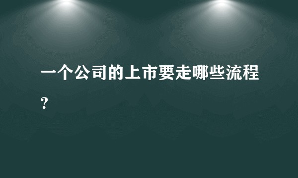 一个公司的上市要走哪些流程？