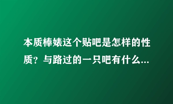 本质棒婊这个贴吧是怎样的性质？与路过的一只吧有什么关联吗？