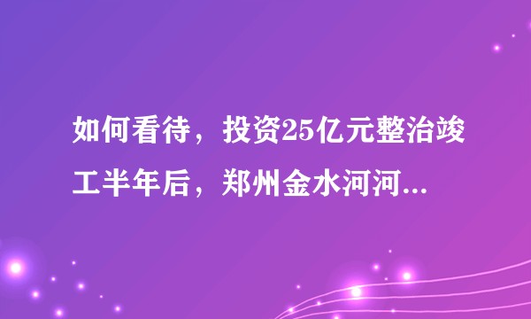 如何看待，投资25亿元整治竣工半年后，郑州金水河河道出现护坡塌方、步道受损？?