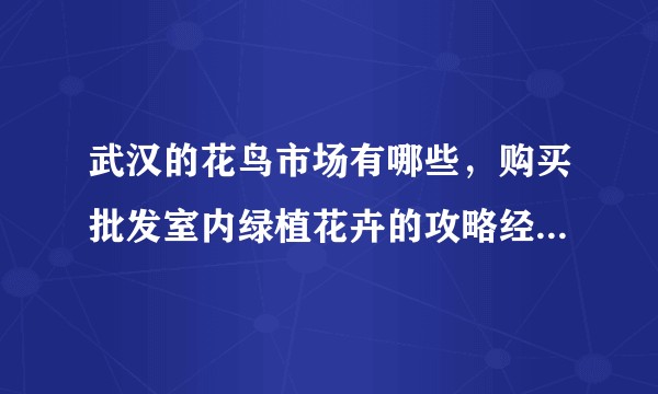 武汉的花鸟市场有哪些，购买批发室内绿植花卉的攻略经验怎么写？
