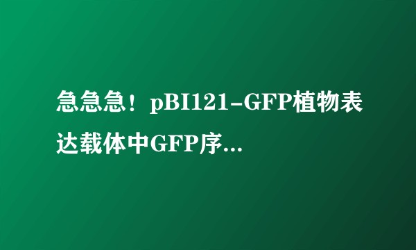 急急急！pBI121-GFP植物表达载体中GFP序列是什么，实在是查不到！？