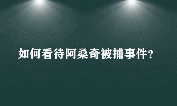 如何看待阿桑奇被捕事件？