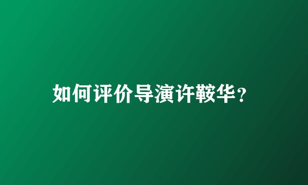 如何评价导演许鞍华？