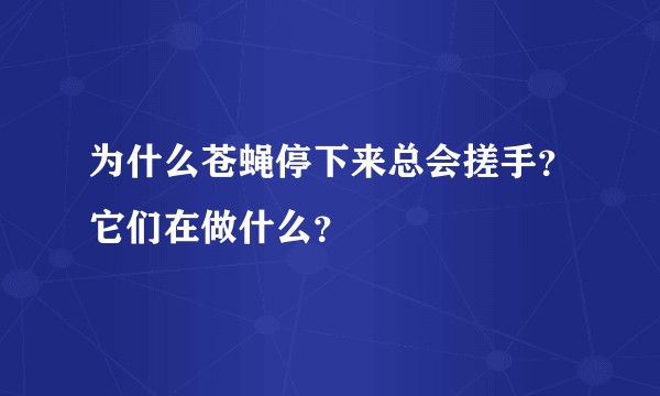 为什么苍蝇停下来总会搓手？它们在做什么？