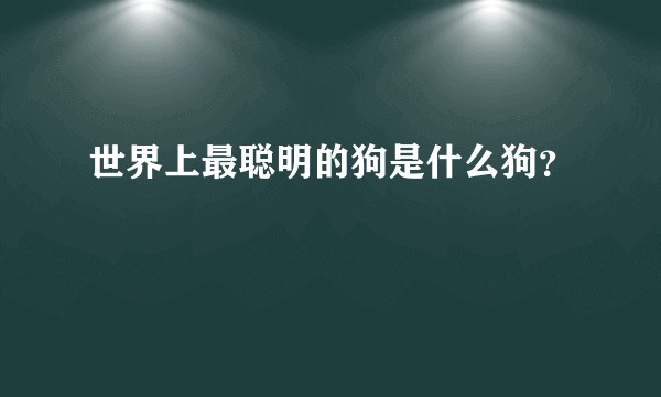 世界上最聪明的狗是什么狗？