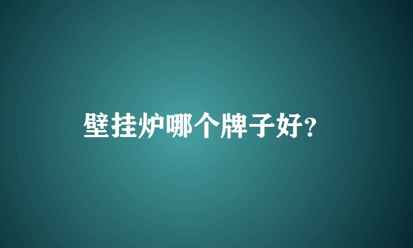 壁挂炉哪个牌子好?