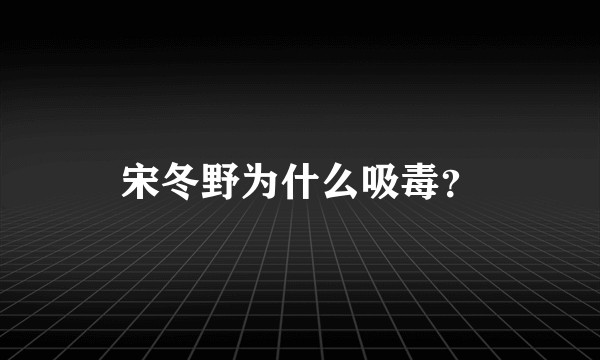 宋冬野为什么吸毒？