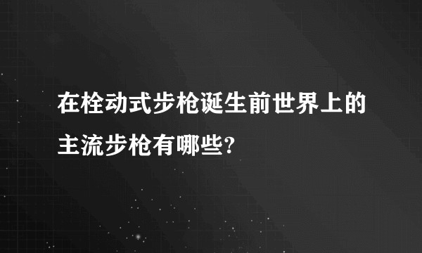 在栓动式步枪诞生前世界上的主流步枪有哪些?