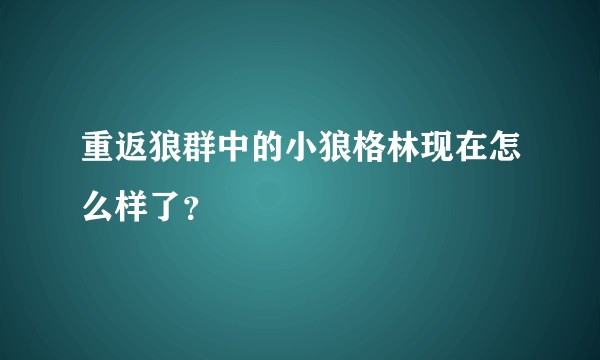 重返狼群中的小狼格林现在怎么样了?