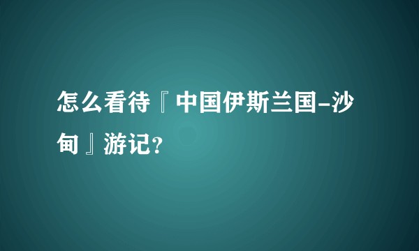 怎么看待『中国伊斯兰国-沙甸』游记？