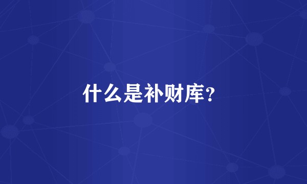 什么是补财库？