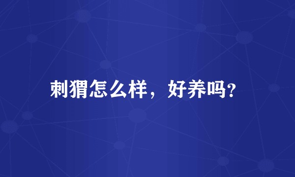刺猬怎么样,好养吗?