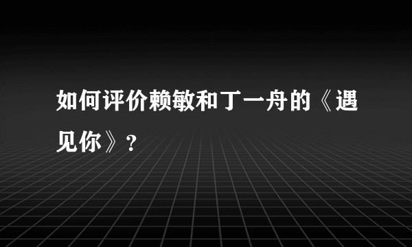 如何评价赖敏和丁一舟的《遇见你》？
