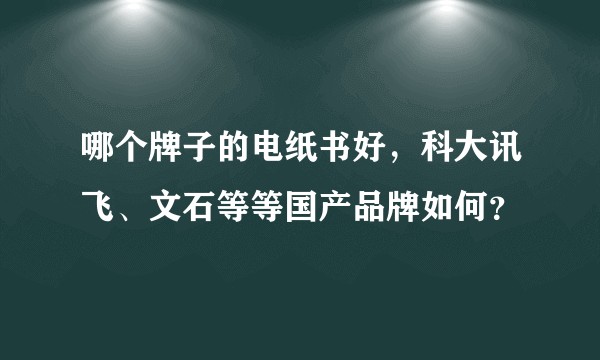 哪个牌子的电纸书好，科大讯飞、文石等等国产品牌如何？