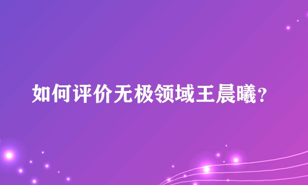 如何评价无极领域王晨曦?