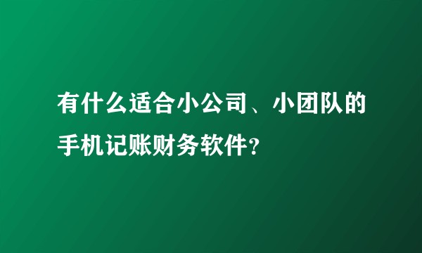 有什么适合小公司、小团队的手机记账财务软件？