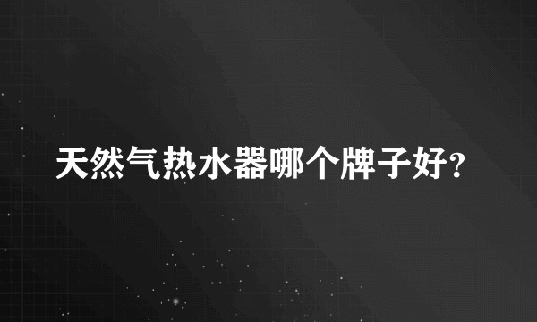 天然气热水器哪个牌子好？