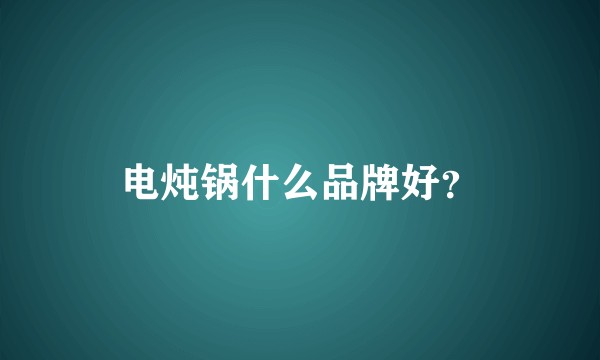 电炖锅什么品牌好？