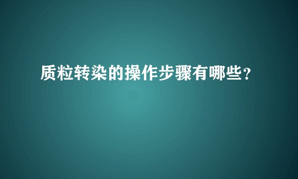 质粒转染的操作步骤有哪些?