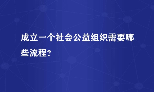 成立一个社会公益组织需要哪些流程？