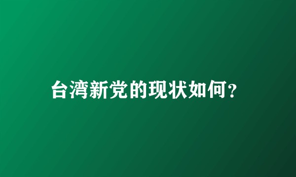 台湾新党的现状如何？