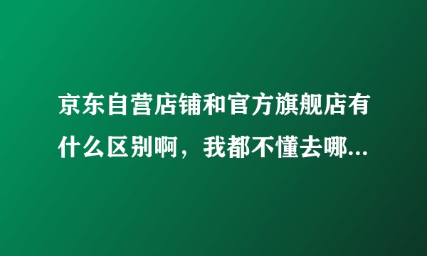 京东自营店铺和官方旗舰店有什么区别啊，我都不懂去哪个店铺买比较靠谱？