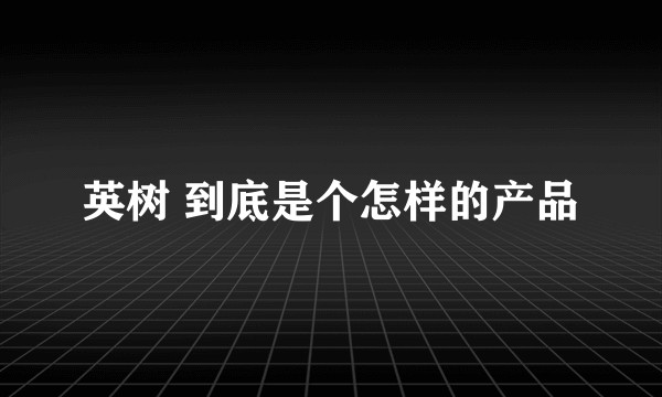 英树 到底是个怎样的产品