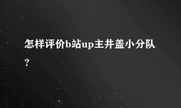 怎样评价b站up主井盖小分队？