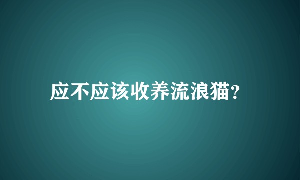 应不应该收养流浪猫？