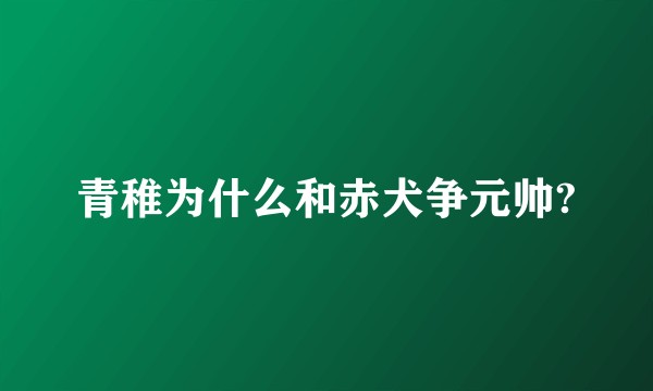 青稚为什么和赤犬争元帅?