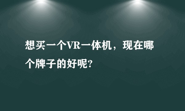 想买一个VR一体机，现在哪个牌子的好呢?