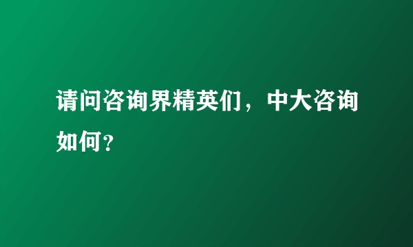 请问咨询界精英们，中大咨询如何？