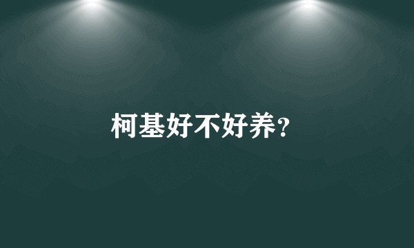 柯基好不好养?