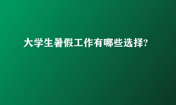 大学生暑假工作有哪些选择?