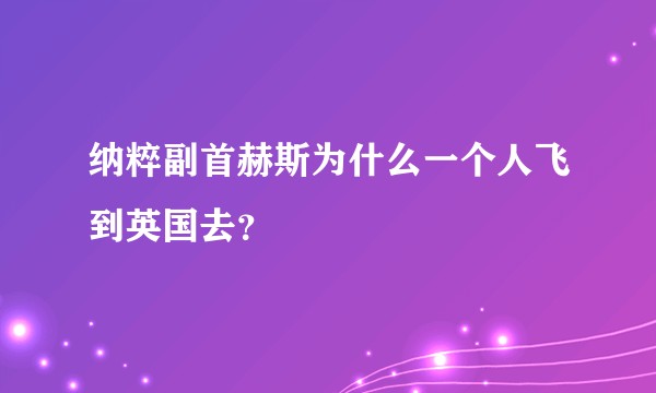 纳粹副首赫斯为什么一个人飞到英国去？