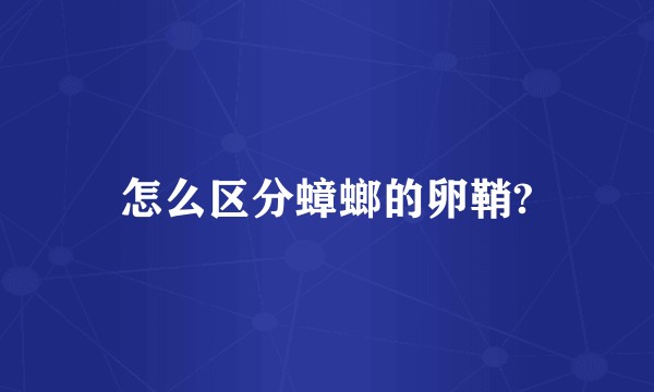 怎么区分蟑螂的卵鞘?