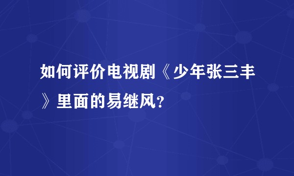 如何评价电视剧《少年张三丰》里面的易继风?